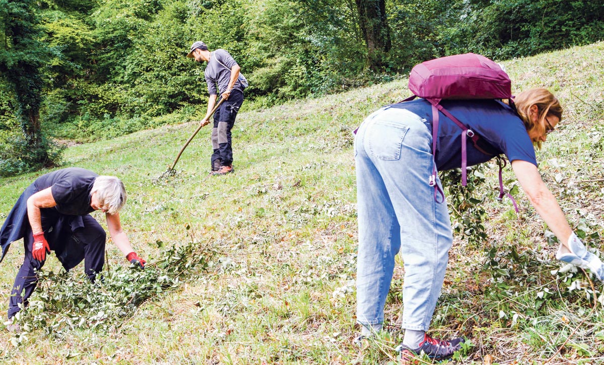 Rotary Club Olten-West und Stiftung Born