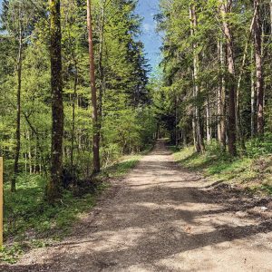 5-2025_ET_Poesieweg_2 Poesieweg Egerkingen / Anzeiger Thal Gäu Olten
