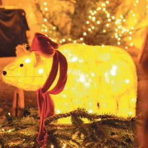 Winznauer Weihnachtsmarkt / Anzeiger Thal Gäu Olten