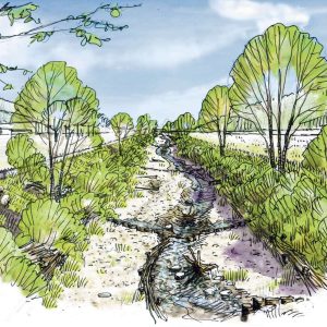 F-04-Visu_Dünnern_Offen_PROJEKT_farbig_240202 Projekt «Lebensraum Dünnern Oensingen bis Olten» / Anzeiger Thal Gäu Olten