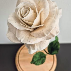 Gedenkrose