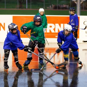 HC_Laupersdorf HC Laupersdorf / Anzeiger Thal Gäu Olten