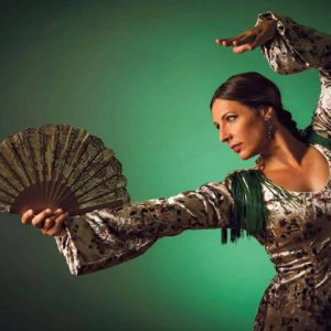 23 Sternschnuppen / Anzeiger Thal Gäu Olten